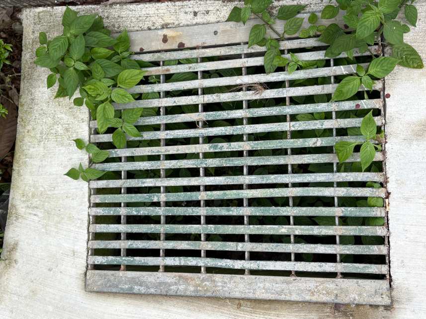 Как выбрать стальную решётку для промышленных платформ? Анализ пяти ключевых факторов на основе российских стандартов